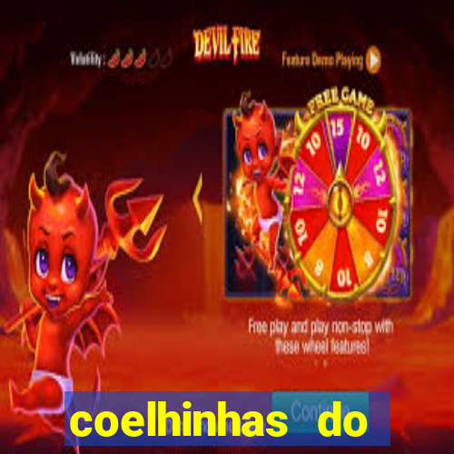 coelhinhas do brasil recife